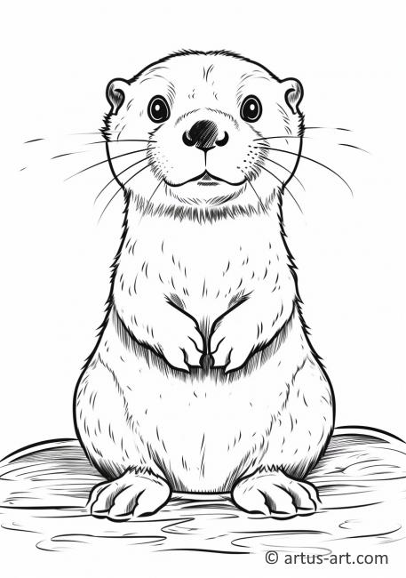 Otter Coloring Page For Kids